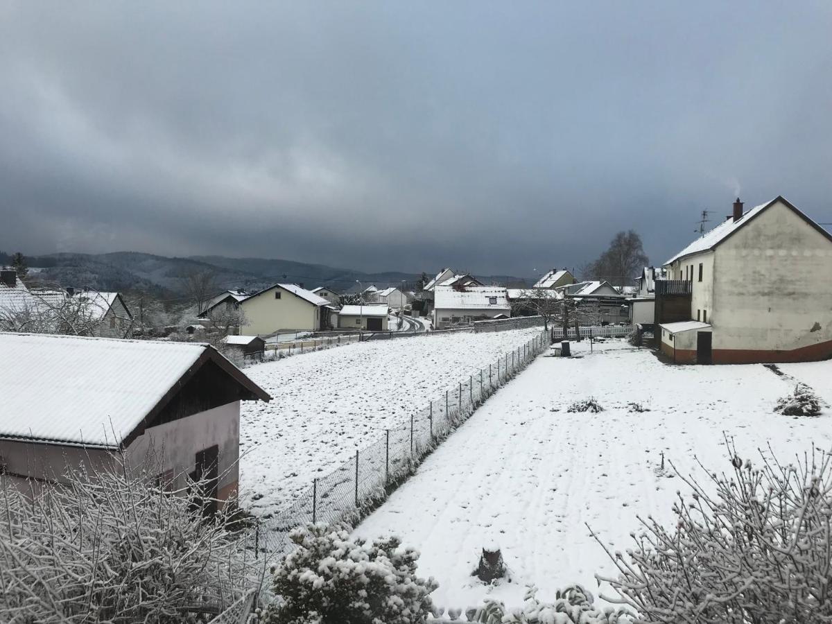 Wohnung Mit Panoramablick Gerolstein Εξωτερικό φωτογραφία